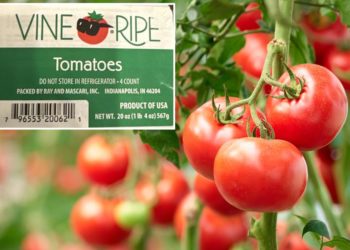 Vine-ripe tomatoes recalled due to salmonella risk: ‘Do not consume’