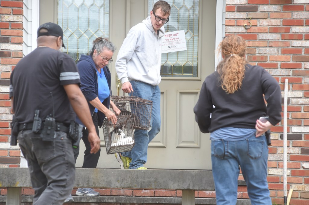 Cat rescue at Bohemia home.