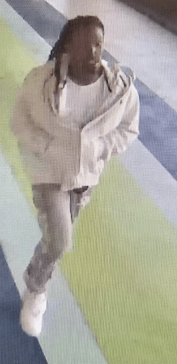 Stevenson, who was wanted on warrants out of Bowling Green, Kentucky, fled the area toward the light rail station.