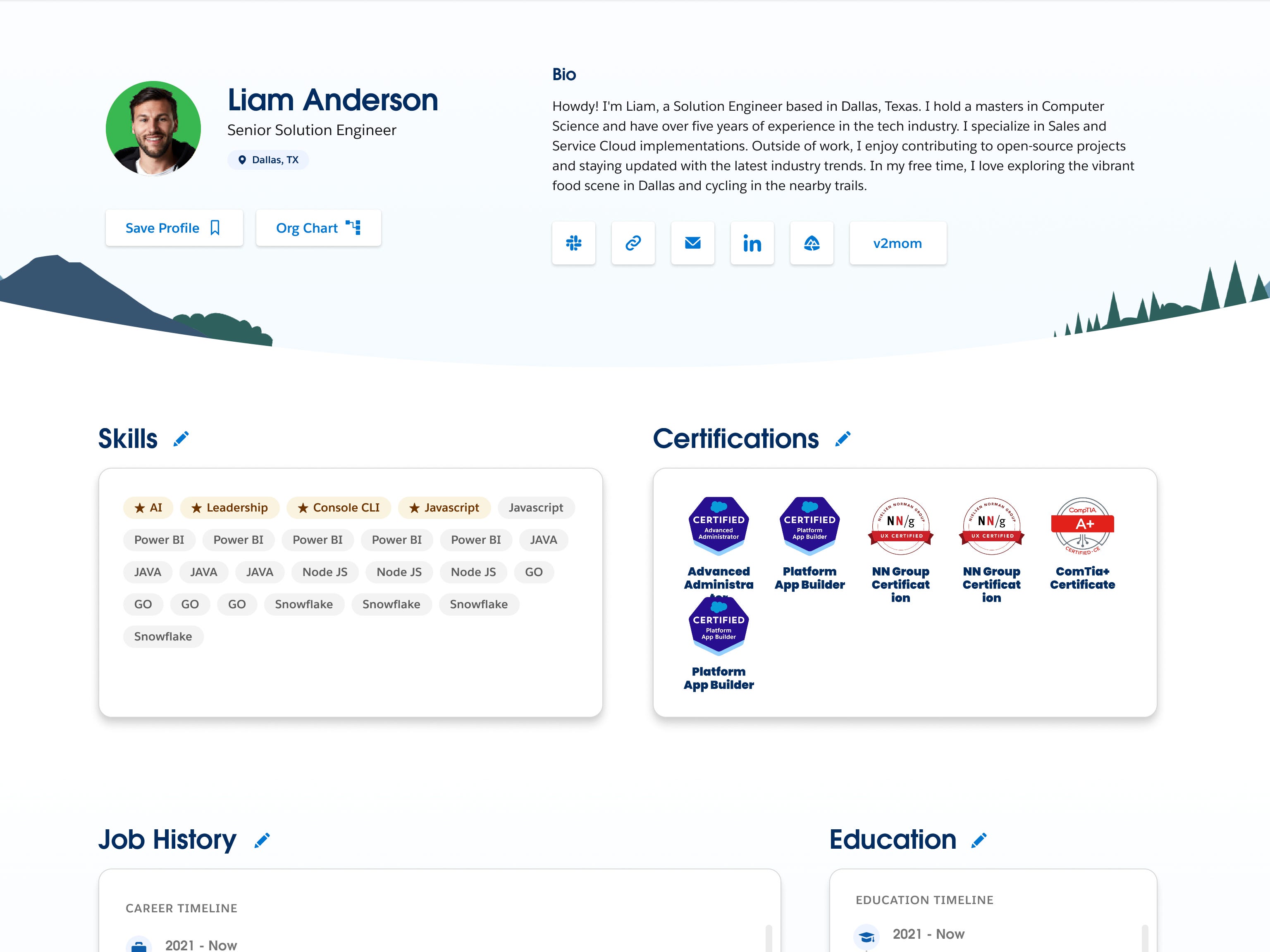 Career Connect example of engineer profile