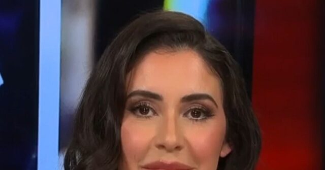 GOP Rep. Luna: We Have to Talk ‘in Helping South American Countries Stabilize’ to Get to ‘Root’ of Illegal Immigration