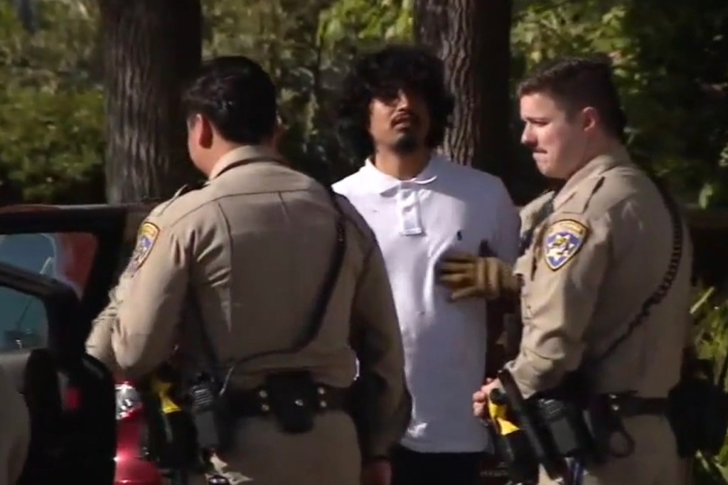 Police take suspect Carlos Kuceja, 28, into custody after a harrowing car chase in which he allegedly hurled a grenade at pursuing officers. 
