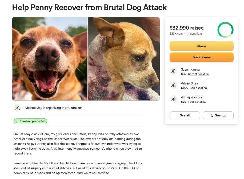 A Gofundme has been set up to help pay for Penny's medical bills.