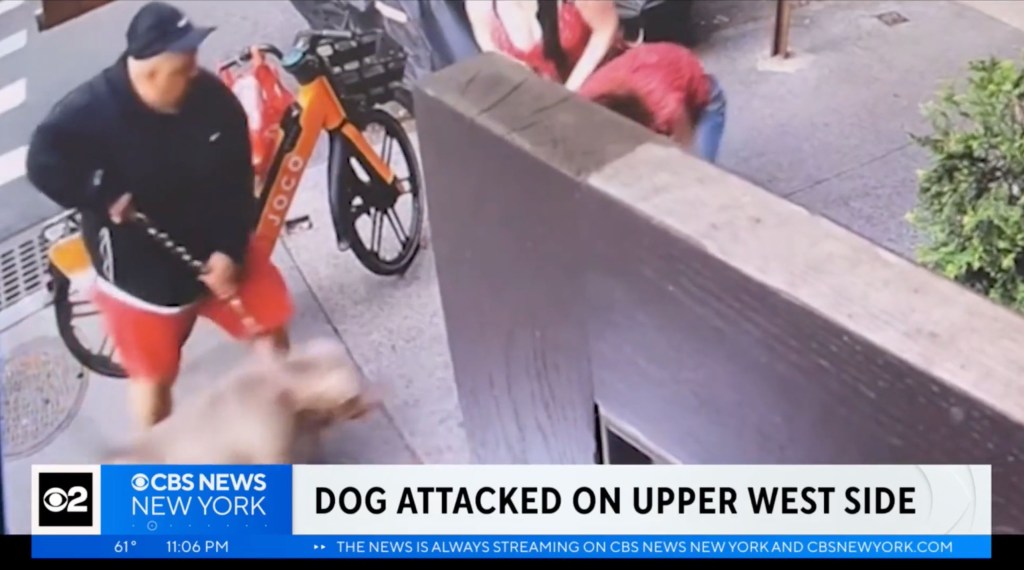 The owners of the ferocious dogs appeared to be completely incapable of controlling the beasts.
