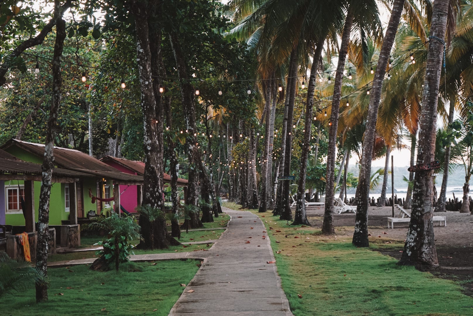 Tree-lined street with small colorful houses