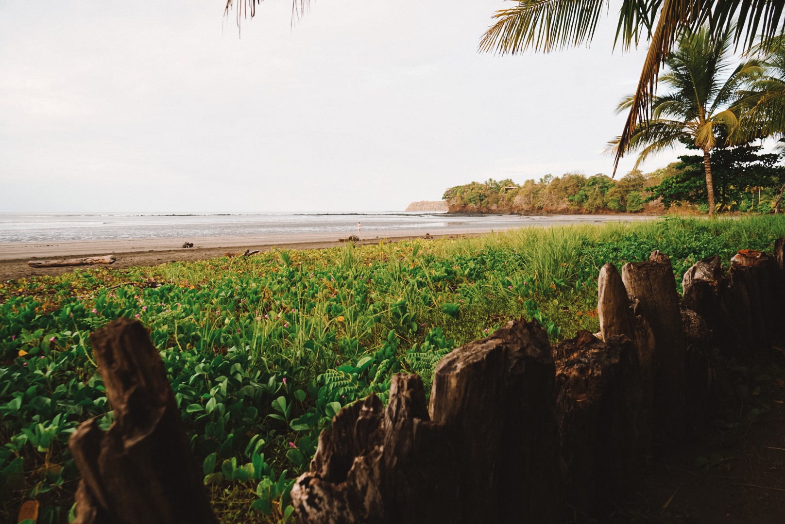 Estero Beach