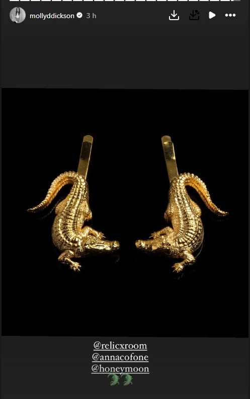 Molly Dickson posting Del Rey's gator hair clips 
