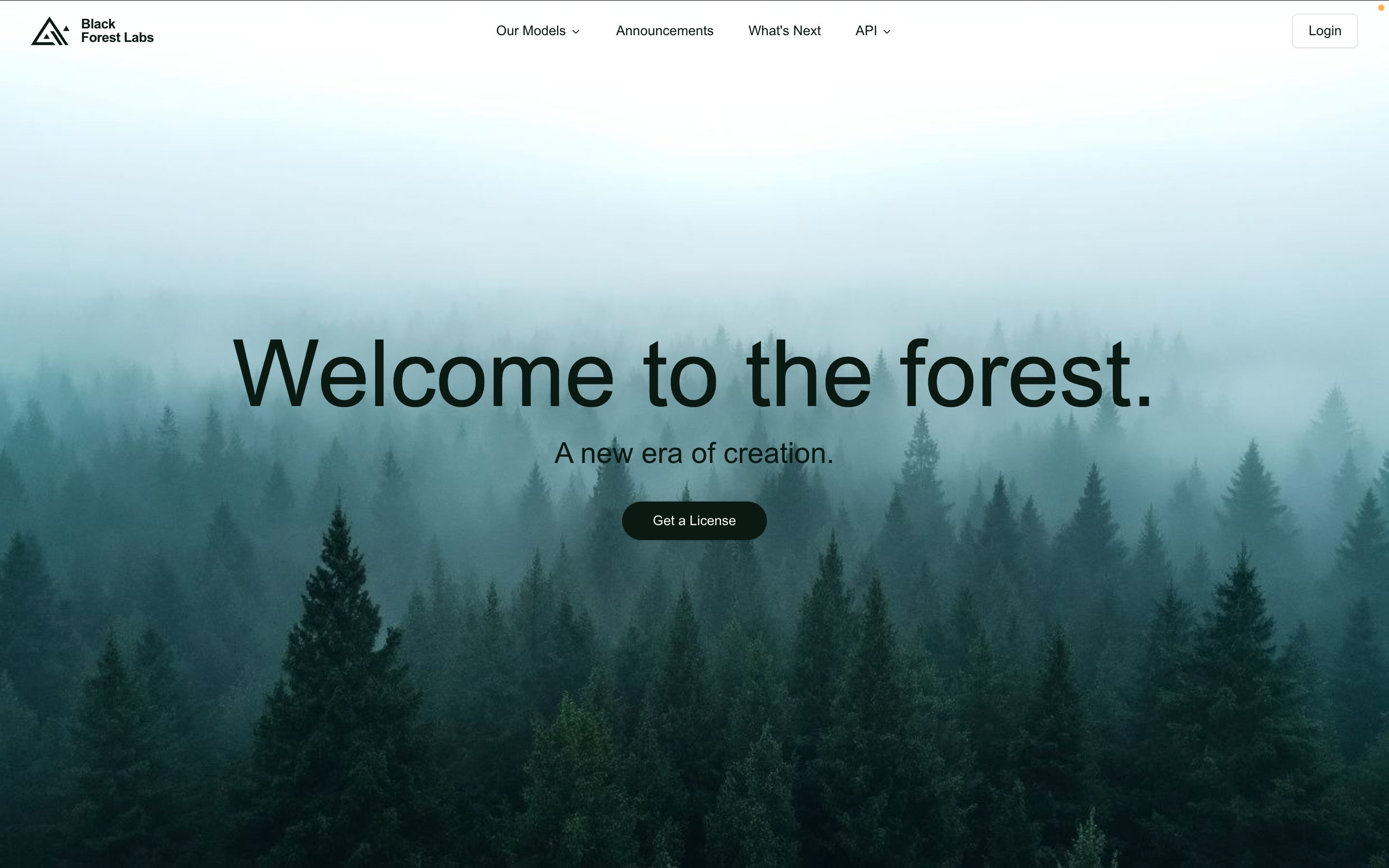 Black Forest Labs' website