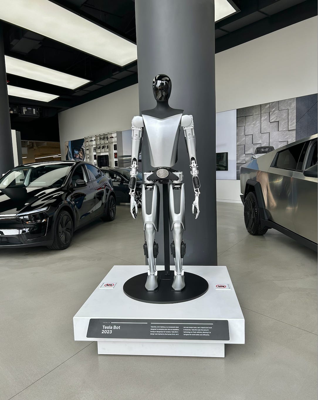 Tesla Bot
