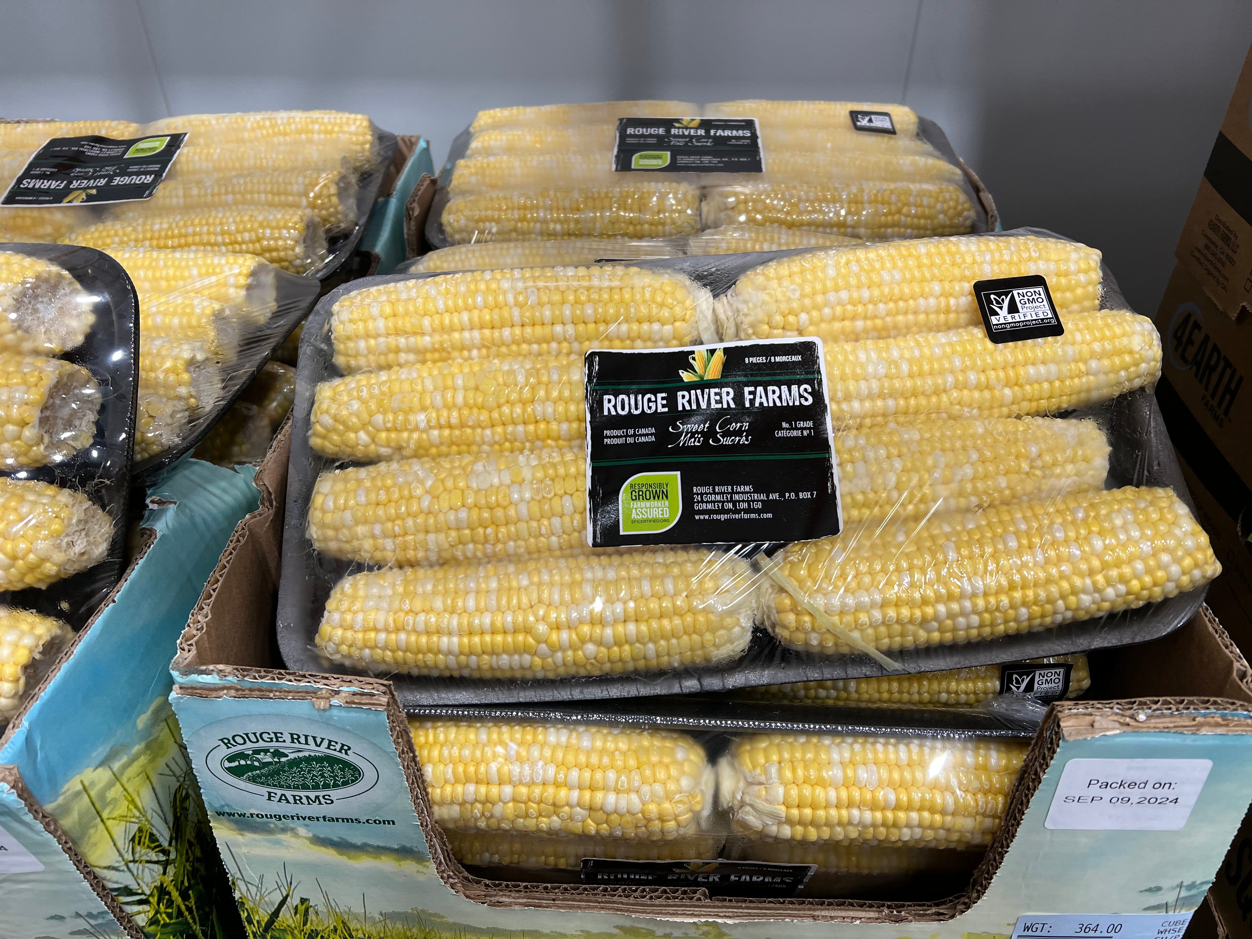 Cobs of River Farms' sweet corn packaged in boxes at Costco.
