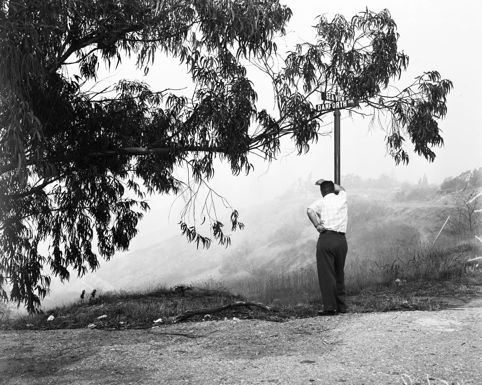Looking down at a smoggy Los Angeles in 1949.
