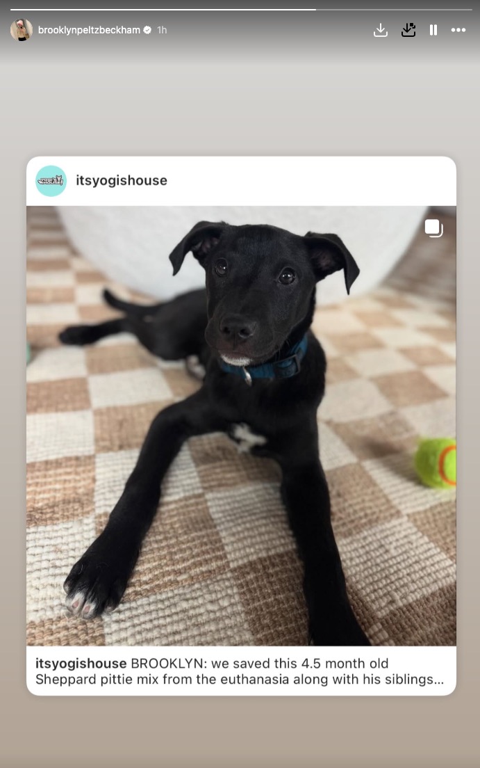 Brooklyn Beckham posts about Yogi's House on social media.