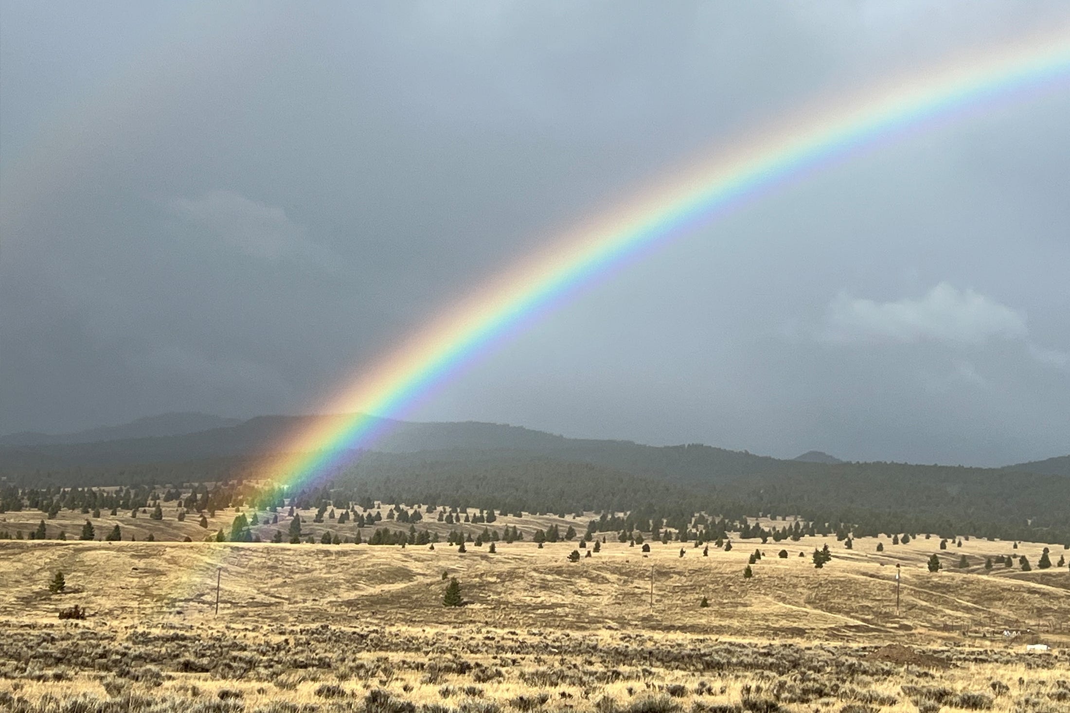Rainbow above montana