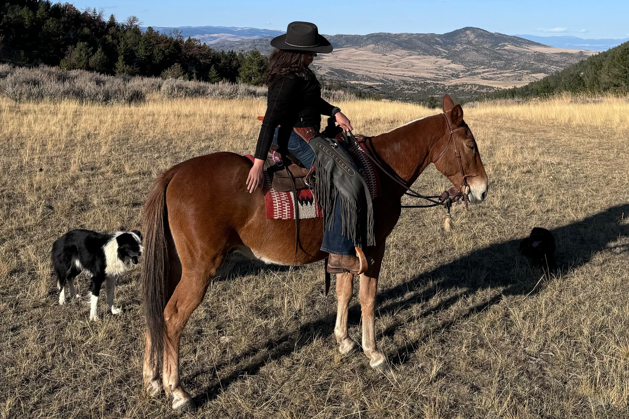 Author Nicole Qualtieri riding an animal in Montana