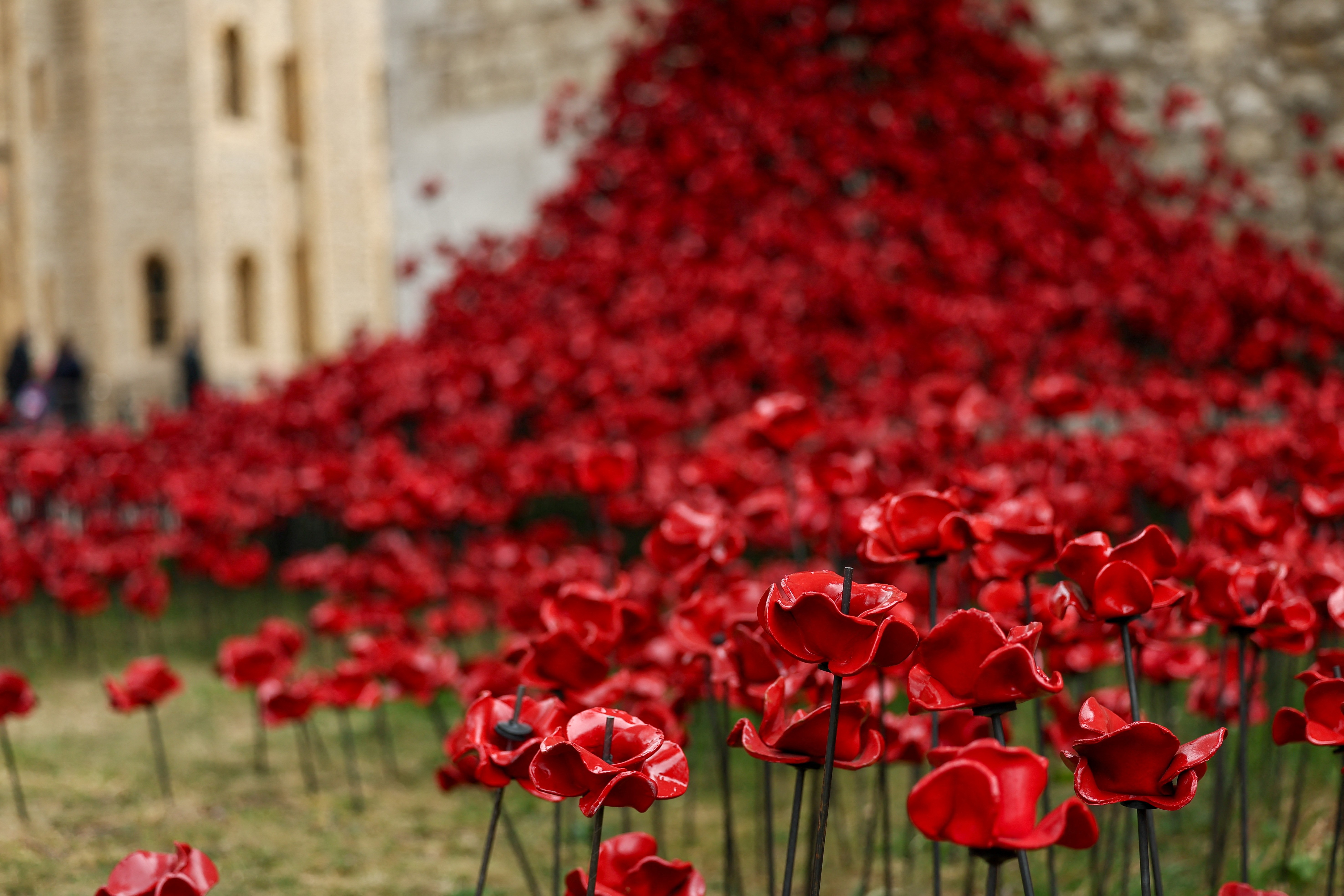 Thousands of ceramic red flowers are arranged in a flowing pattern.