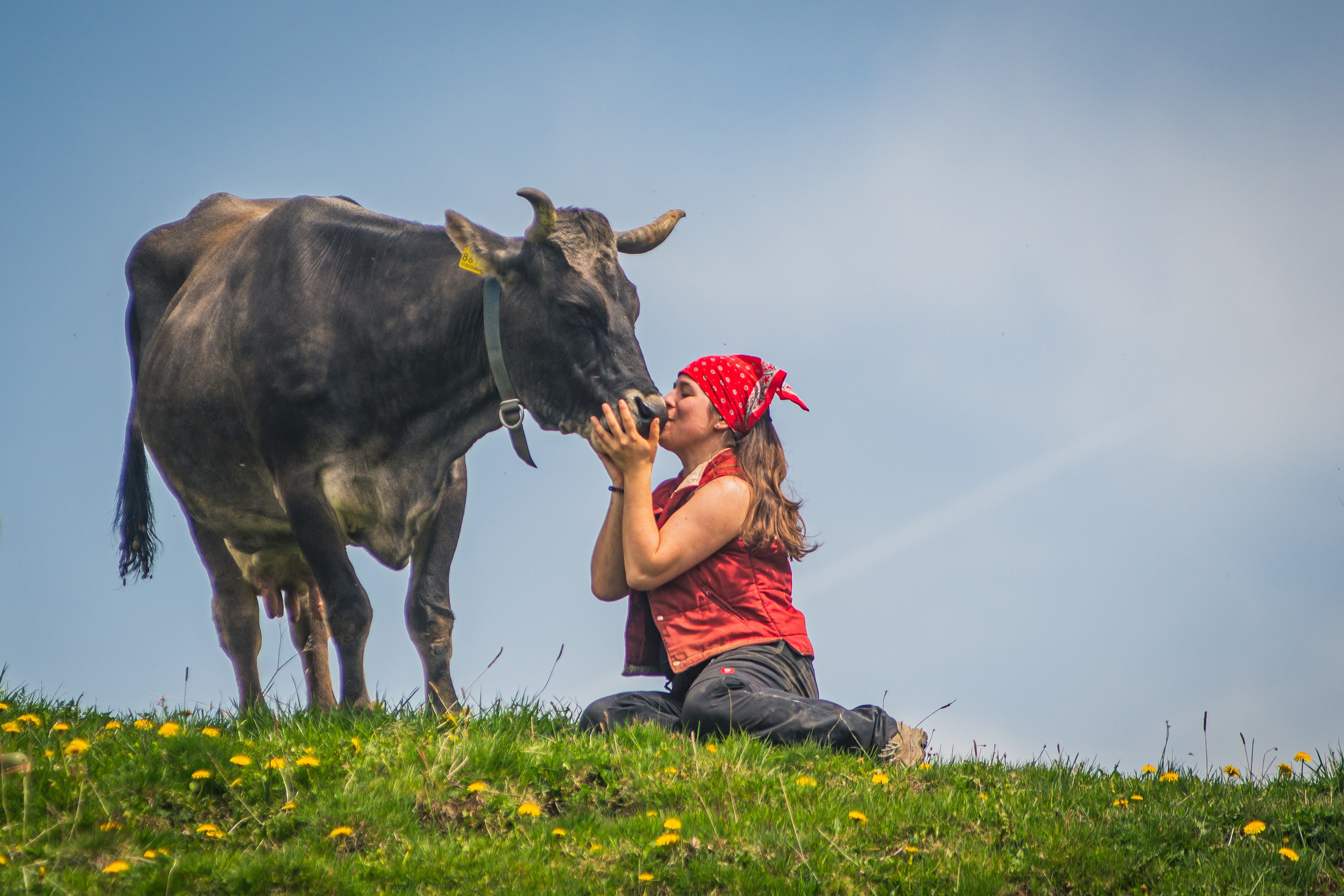 A woman sits on the ground beside a cow embracing its muzzle.