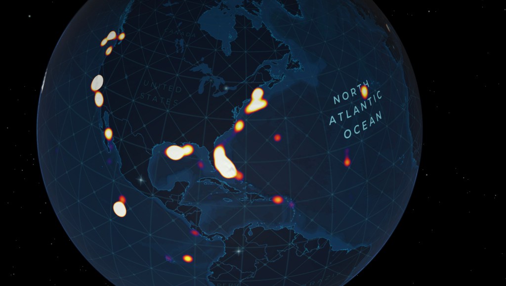 According to a new study, just 0.001% of the deep seafloor has been visually observed. 