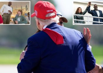 Michigan lieutenant governor slams Gretchen Whitmer for ‘cozying up to Trump’: ‘It’s terrible’