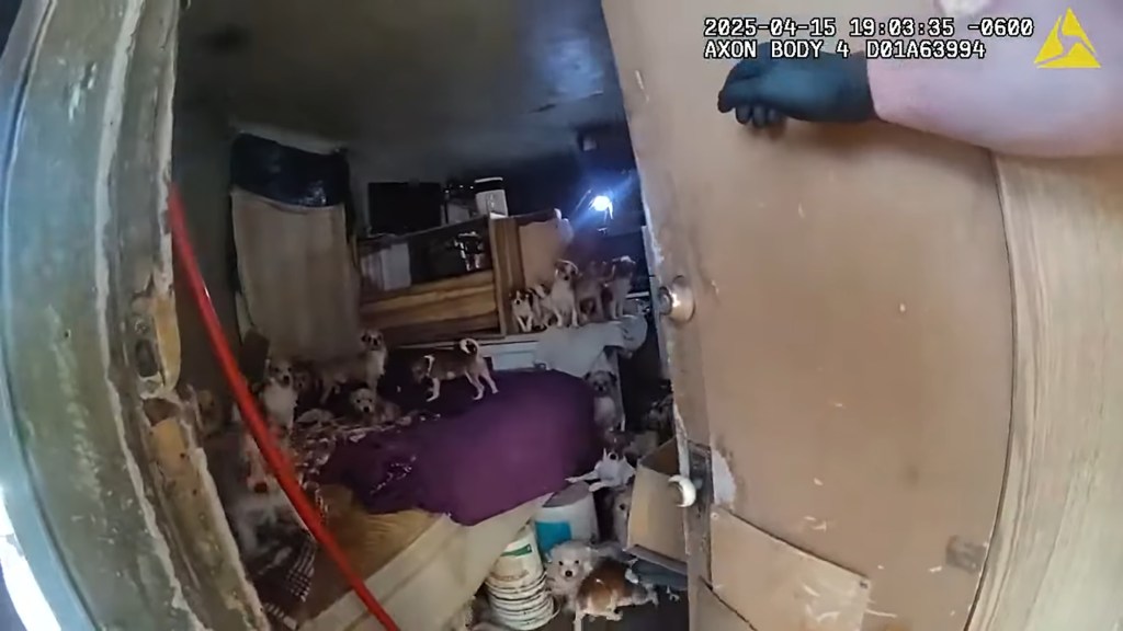 Police bodycam footage taken when police officers enter a pet hoarder's home in Ogden, UT.