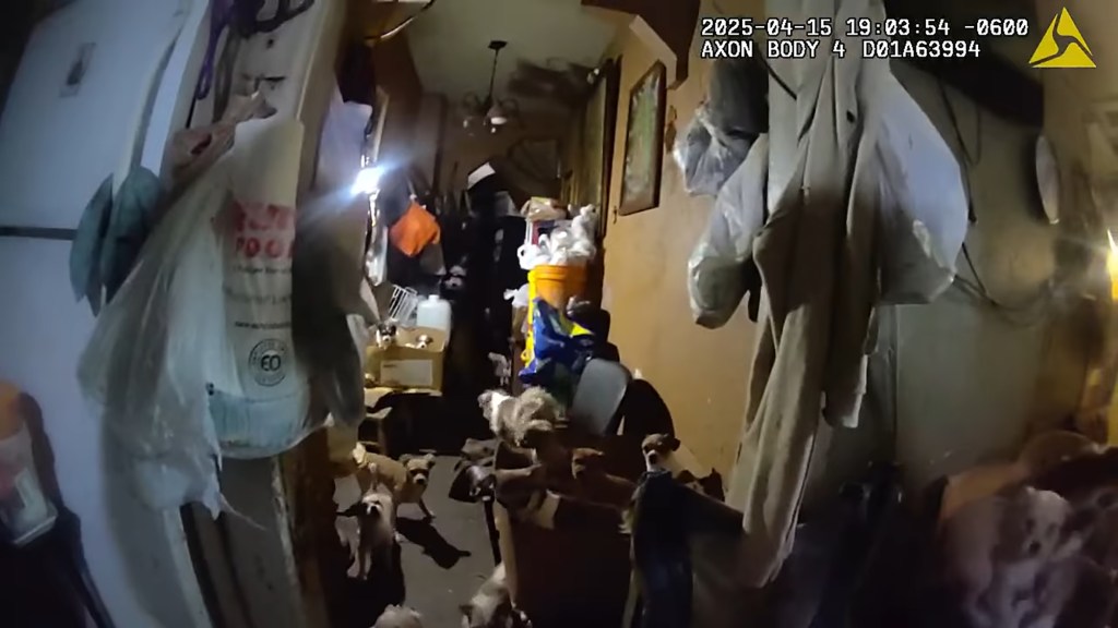 Officers found more than 150 animals living in the trashed house.