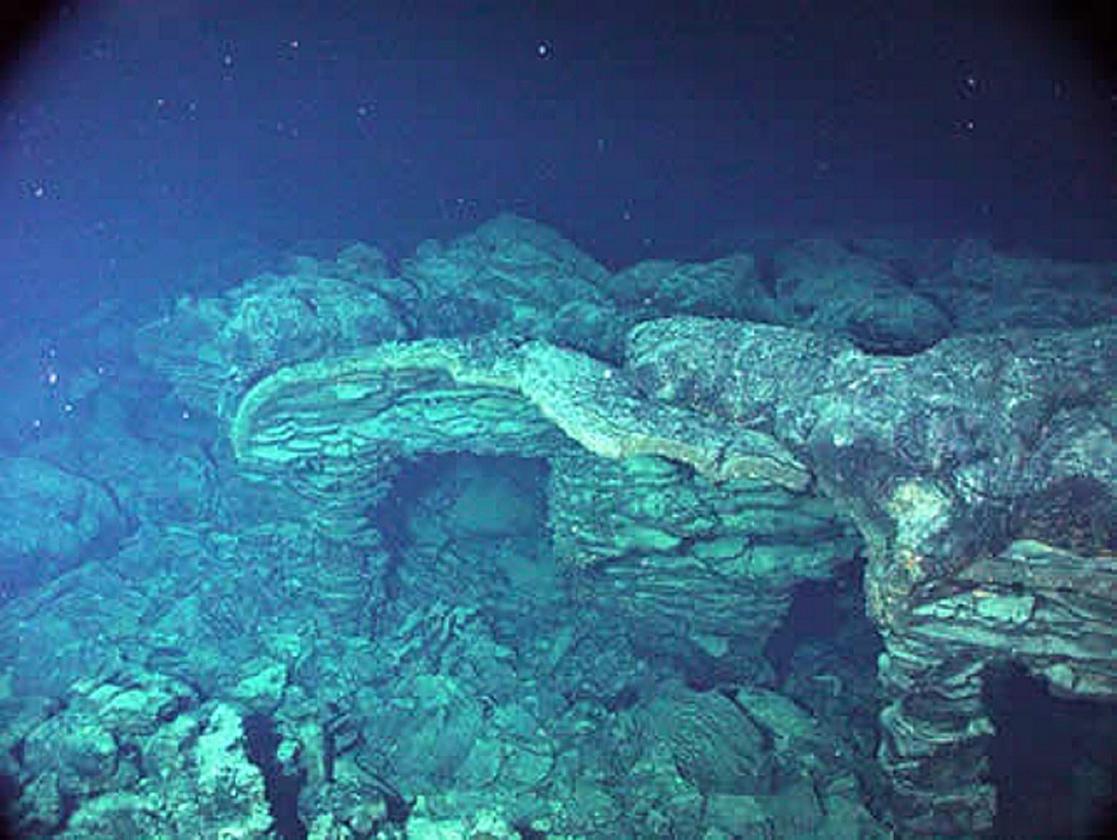 An eruption in 1998 produced this submarine lava flow.