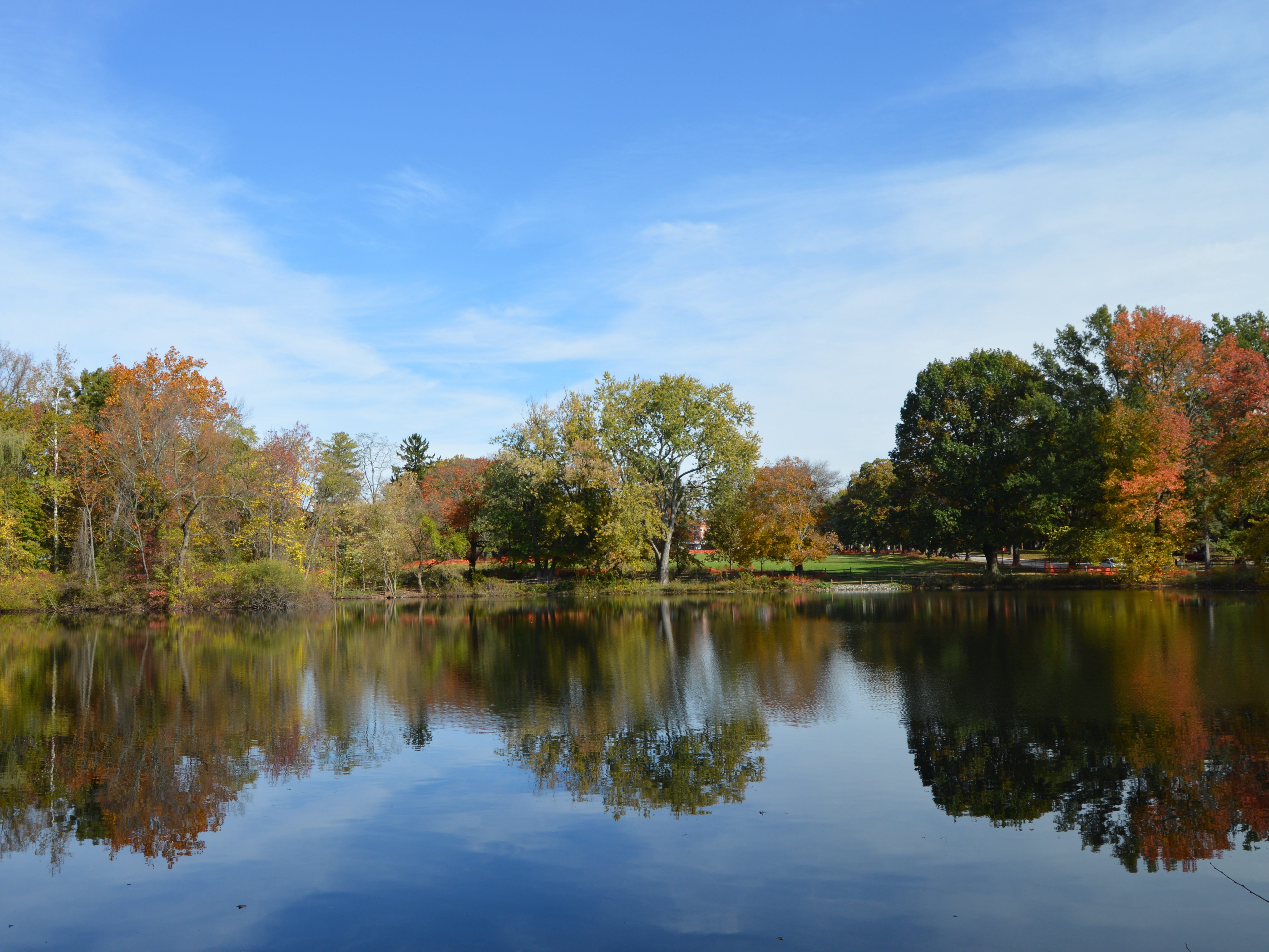 Haverford College duck pond.