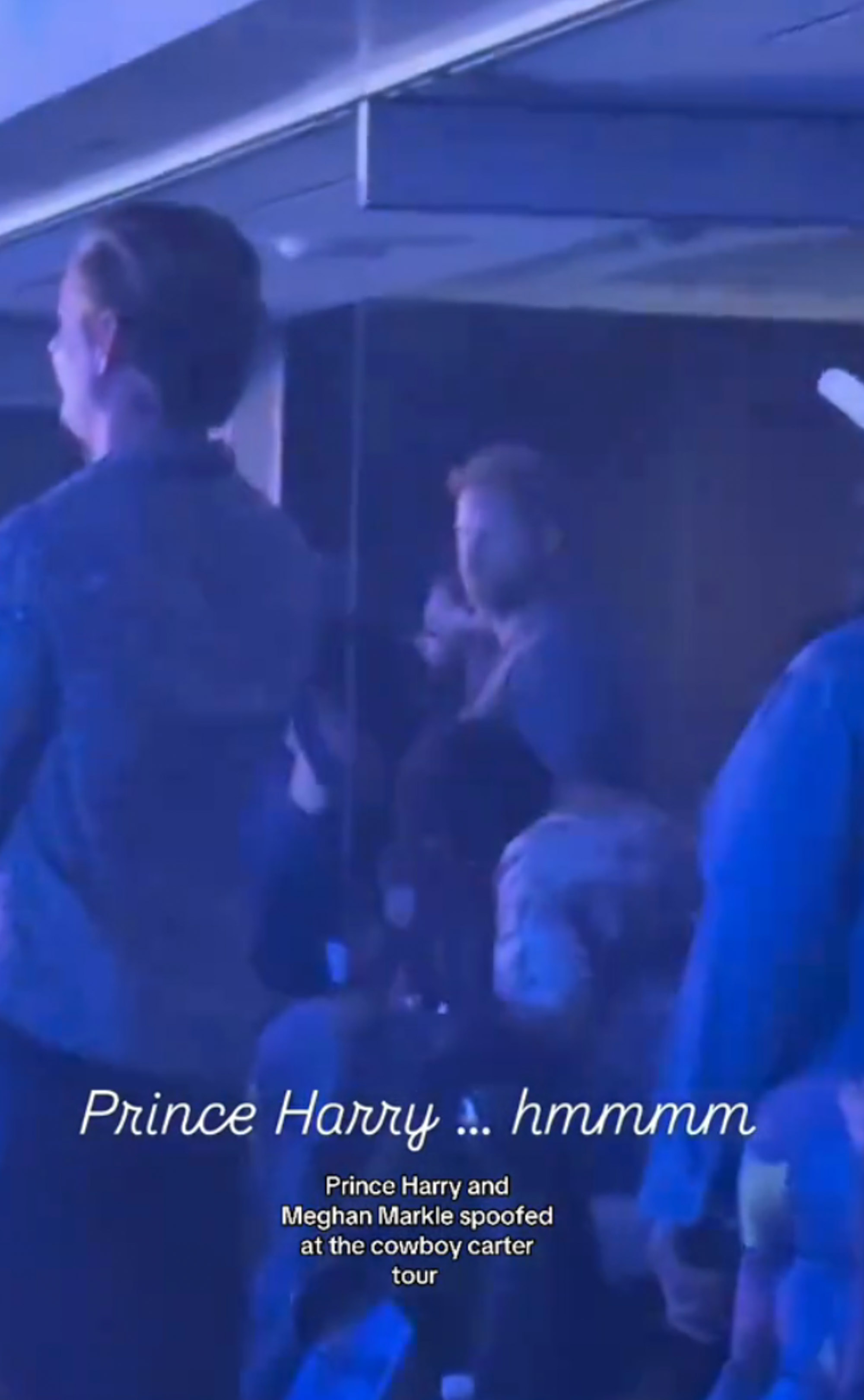 The Sussexes at Beyoncé's concert.