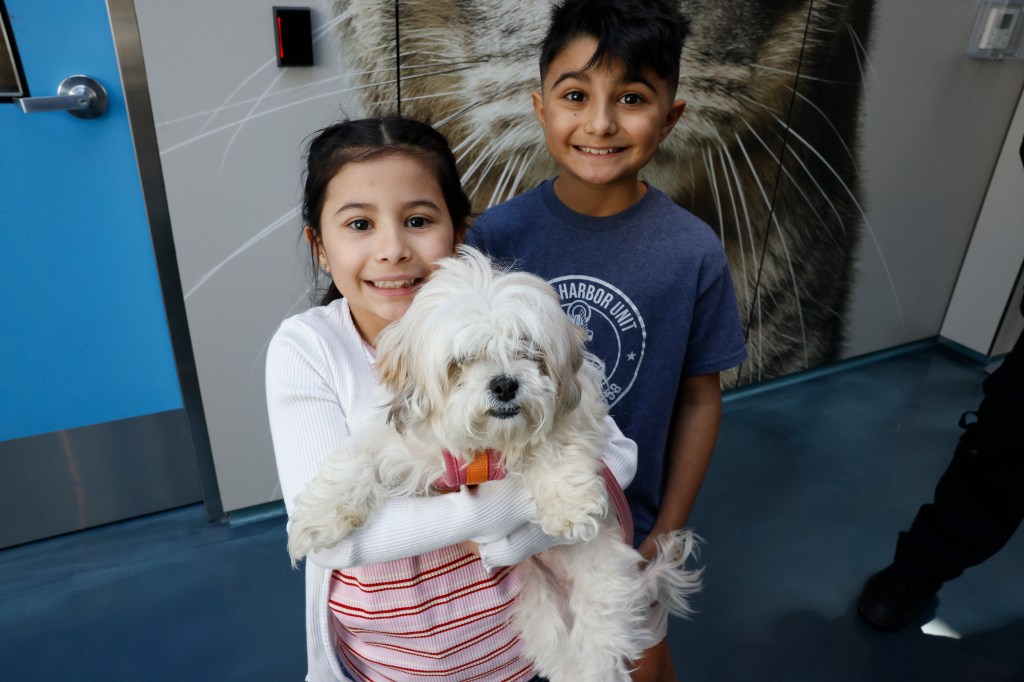 A photo shows Stella DeSalvo holding Hudson with Salvatore smiling beside her.
