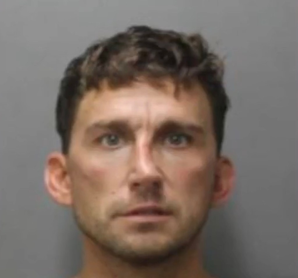 Radimak was arrested and charged with unauthorized entry into a motor vehicle and two counts of assault.