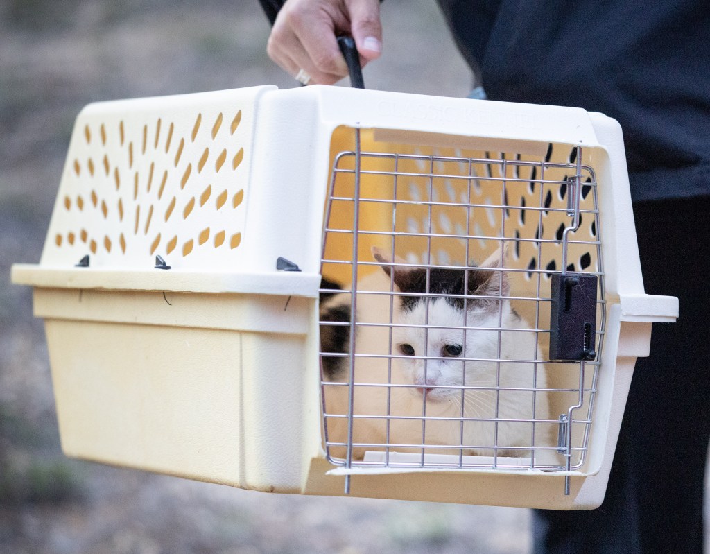 ASPCA and other investigators at the scene of a reported cat hoarding case at a house in Bohemia, NY, 2025 with Suffolk County SPCA Chief Roy Gross