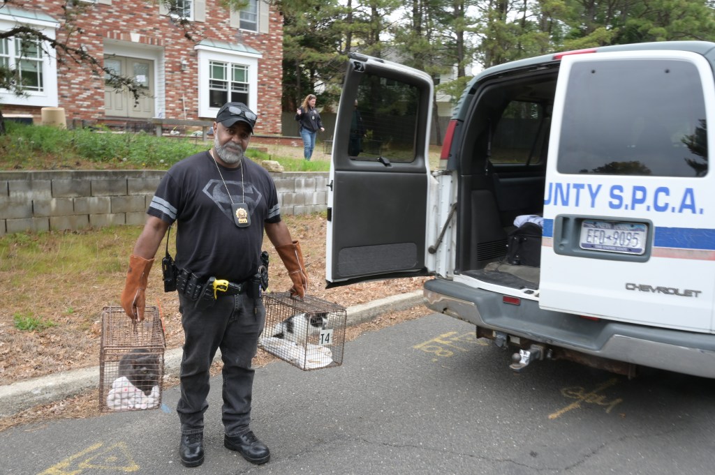 SPCA police officers removing cats from a house at #3 Westminster Dr in Bohemia, photo by John Roca