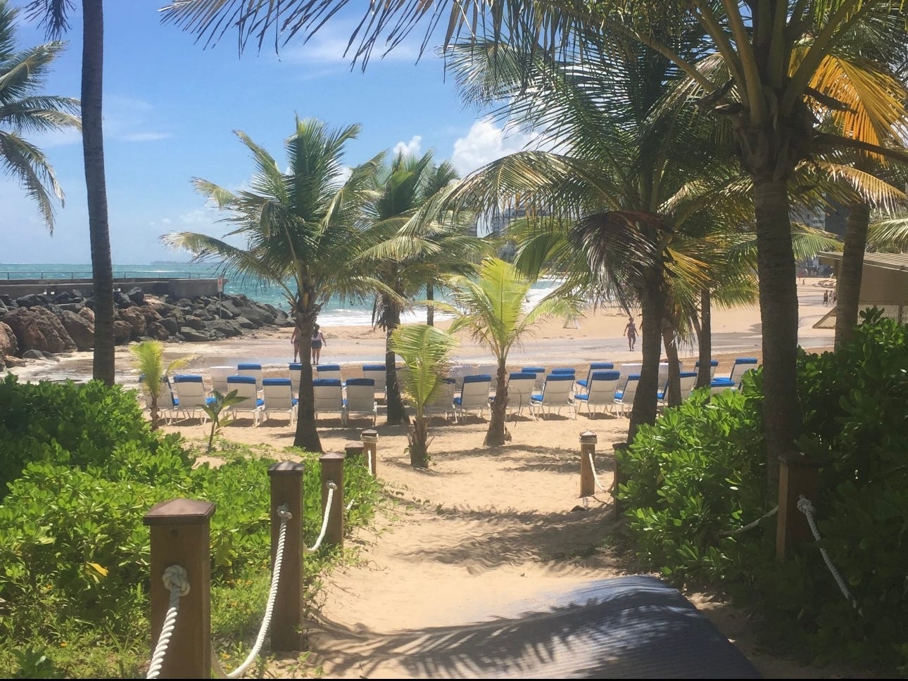The entrance to a beach with lots of palm trees.