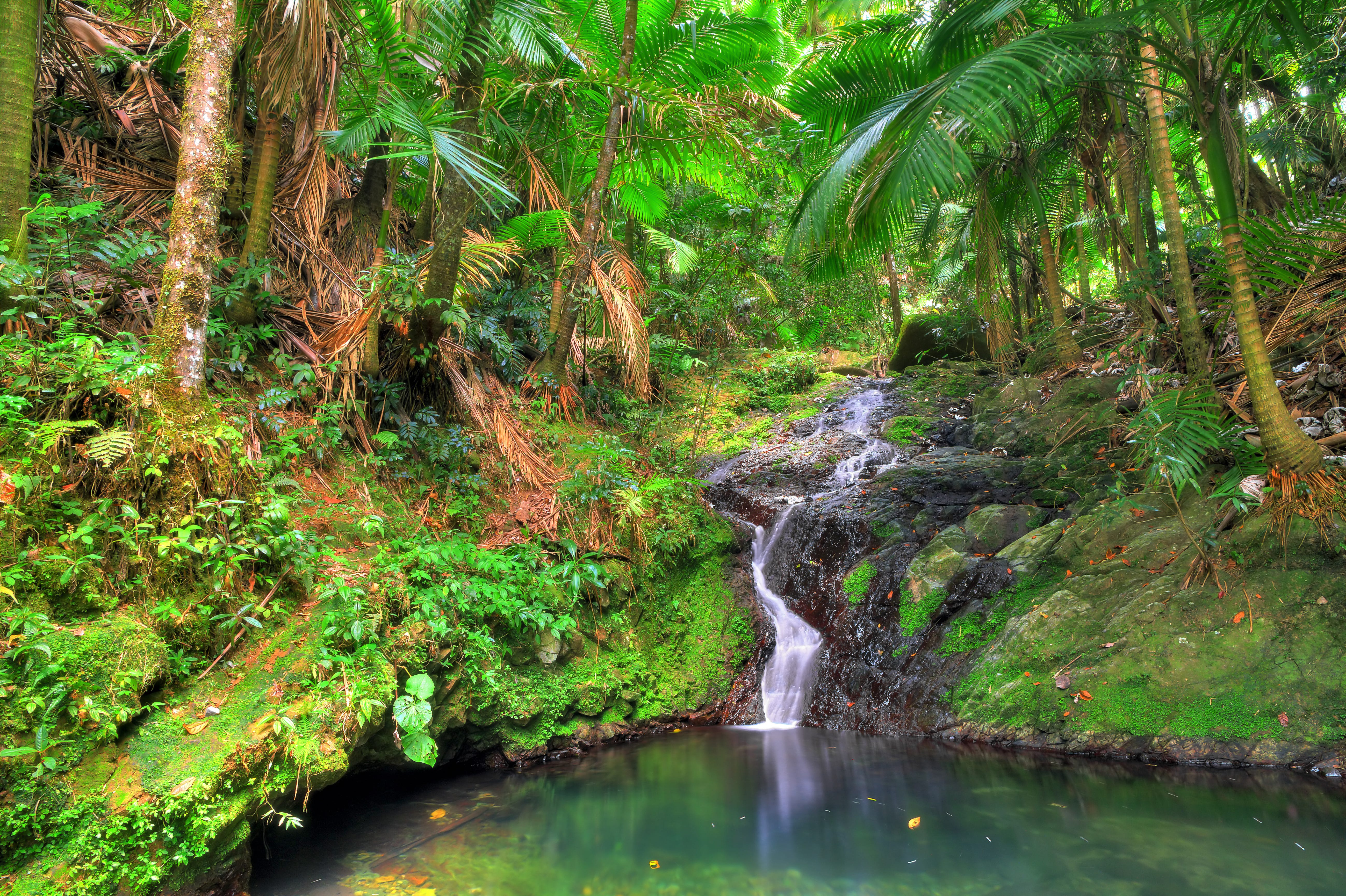 A small waterfall surrounded by lush greenery and trees.