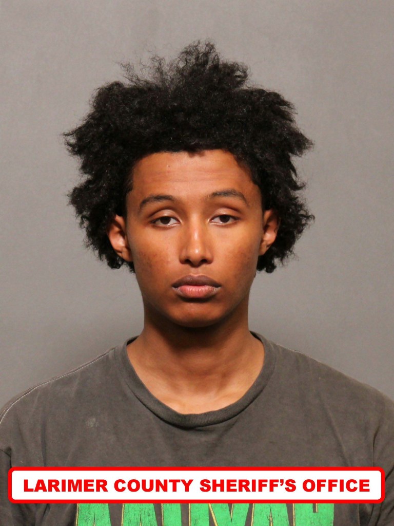 Ebenezer Worku, 20, allegedly opened fire from his car while allegedly trying to clean his gun. 