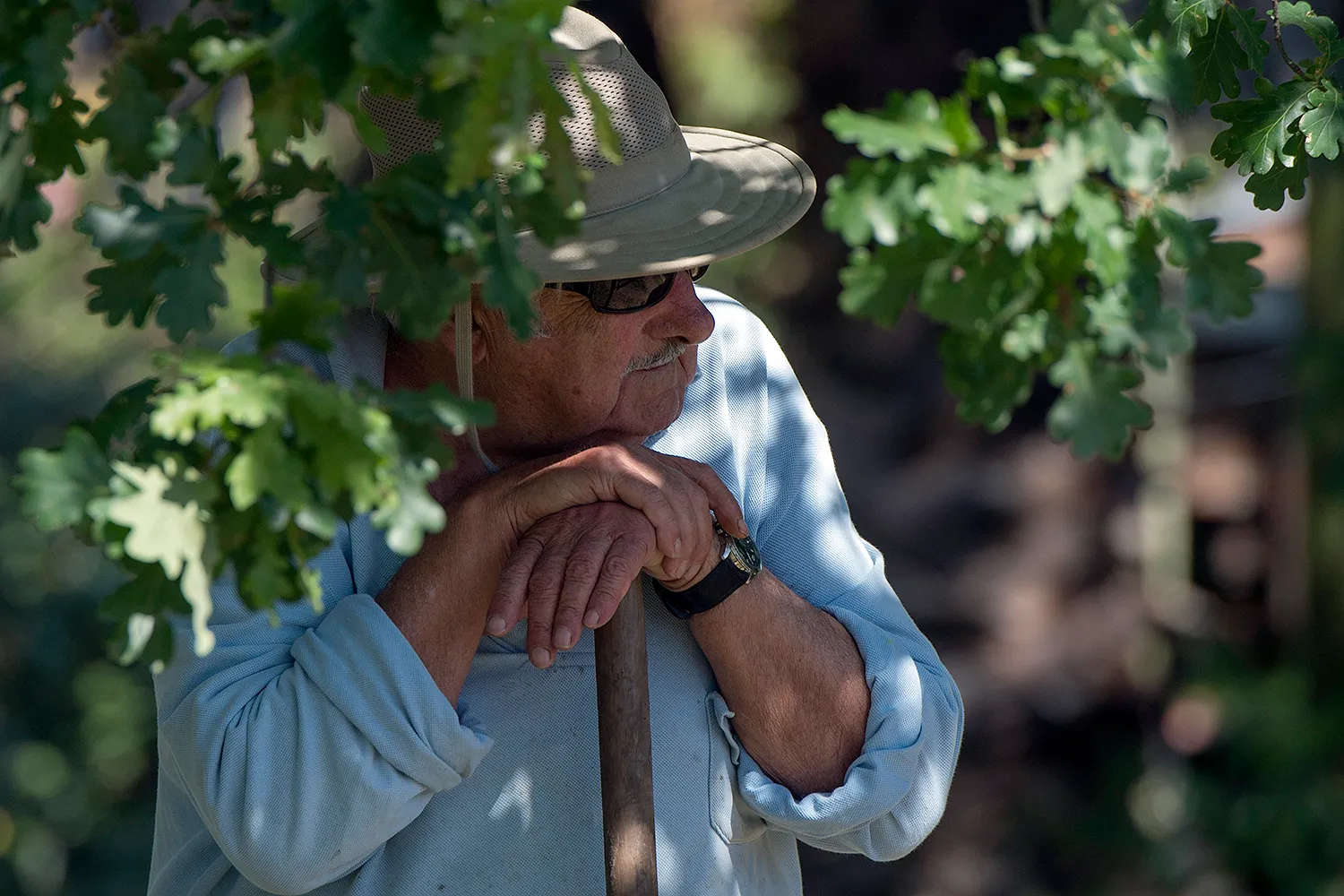 José Mujica sits at his farm.