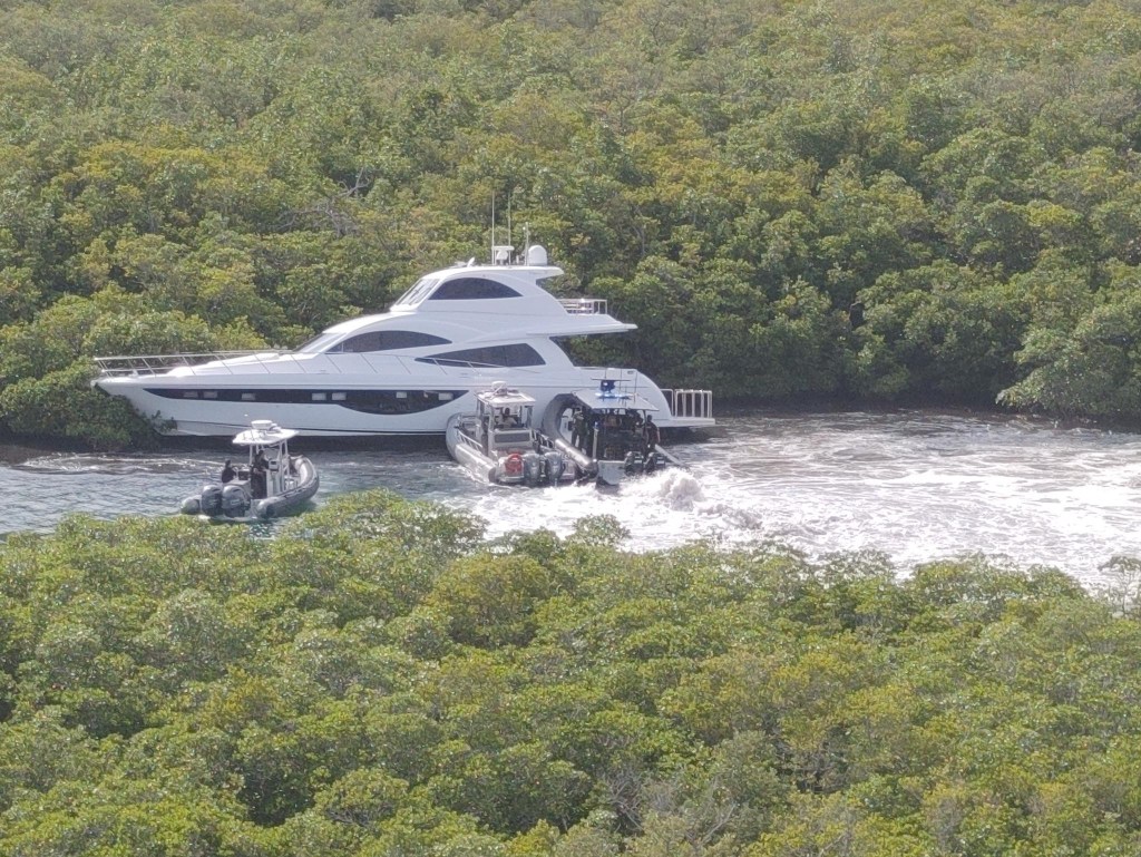 Police boats were able to pin the stole vessel against the shoreline.