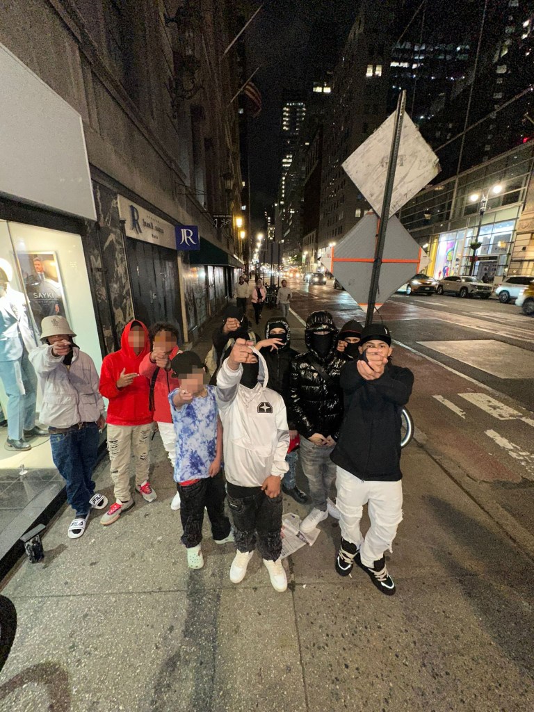 The suspect is believed to be part of a crew of young gang members terrorizing the Big Apple,
