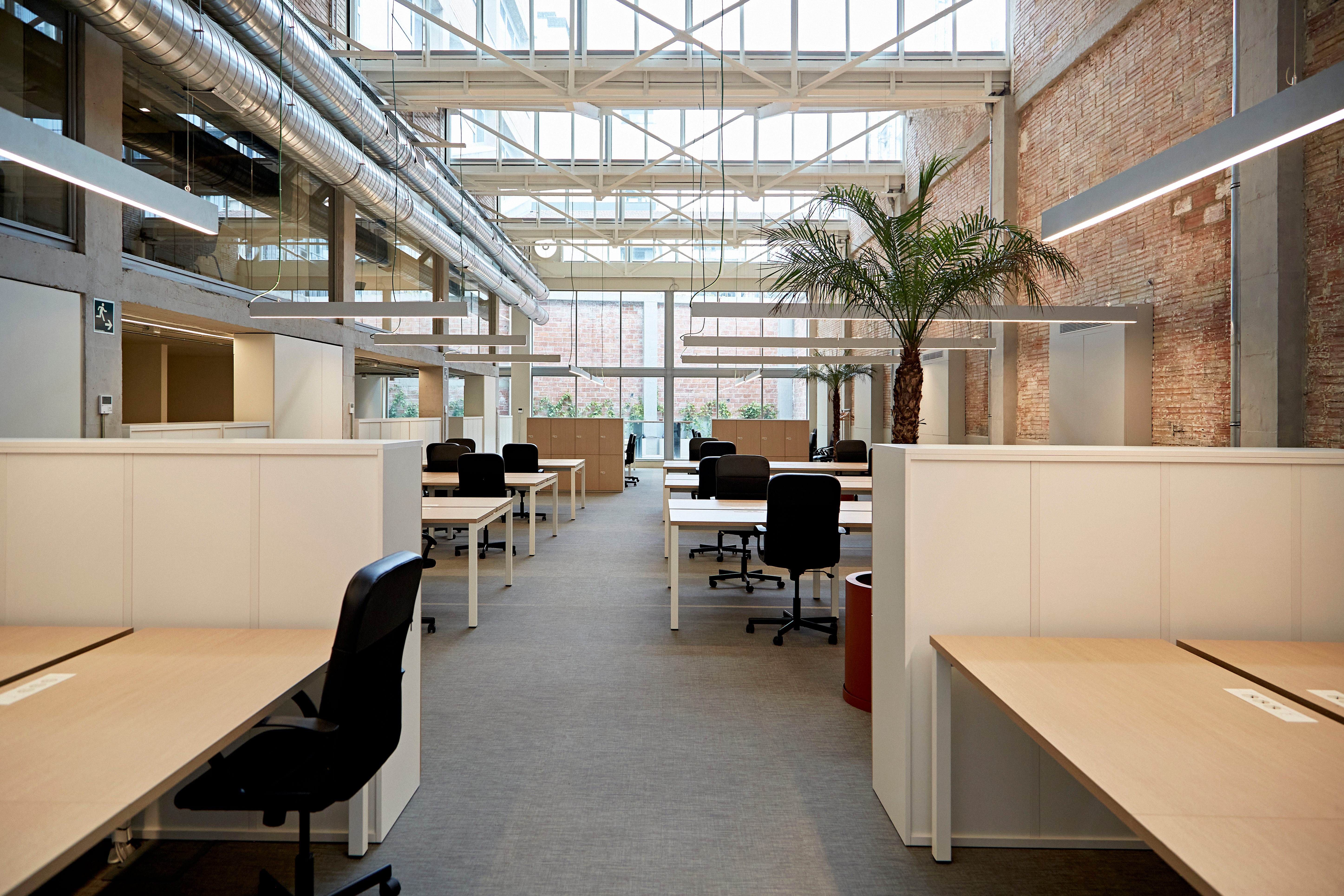 View of office with empty desks, bright ceiling