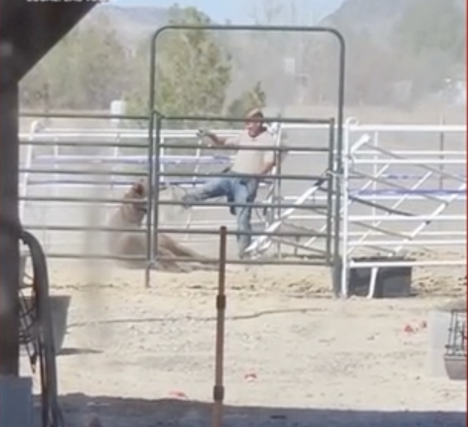 Frehner, 56, had disappeared on April 6 after he was caught on video physically abusing a horse he was supposed to be treating.