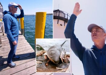 Endurance athlete to swim around Martha’s Vineyard — where ‘Jaws’ was filmed — to change public perception of sharks