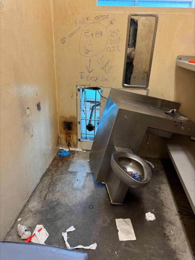 The jailbirds used moved a toilet and squeezed out of a small rectangular porthole just after midnight, officials said.