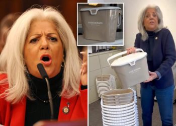 NYC pol trashes city for pushing ‘disgusting’ compost pails: ‘Use as beer coolers’