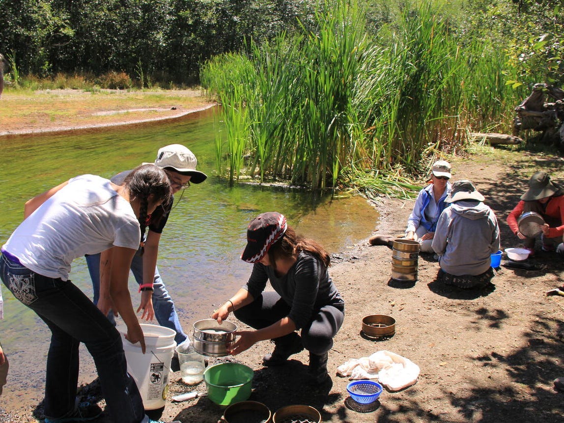 Several girls and women collect scientific samples by a river