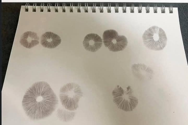 Jorge's prison drawing