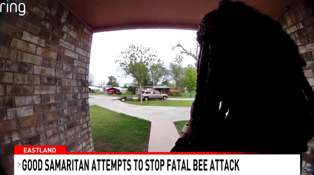 Ring camera captures bee death.