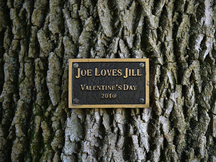 The plaque on a tree on the grounds of the vice president's residence reading