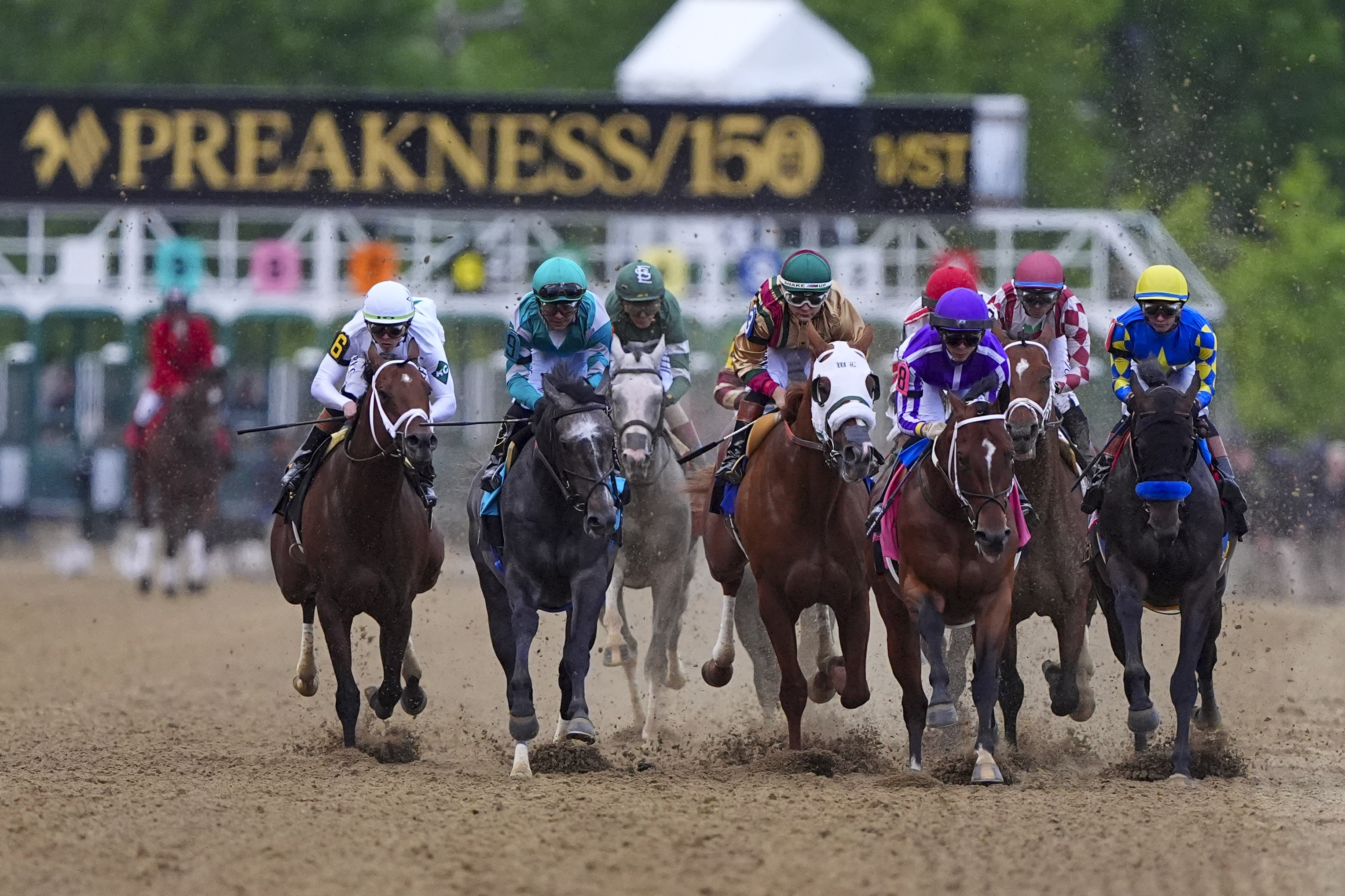 Preakness Stakes