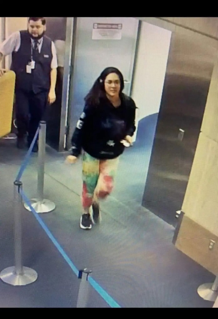 Text graphic stating 'Hannah Kobayashi missing'