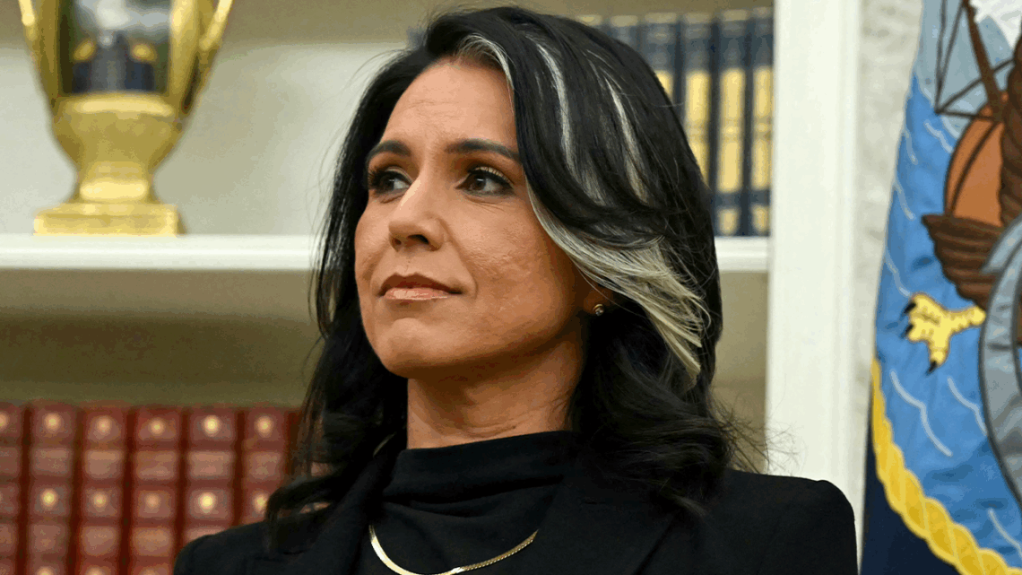 Gabbard slams ‘politically motivated’ surveillance as effort to ‘intimidate’ her following criticism of Harris