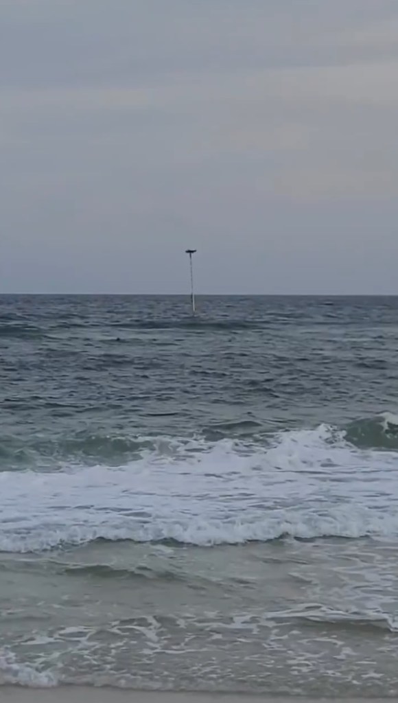 Smith used his drone to deliver a flotation device to the girl. 